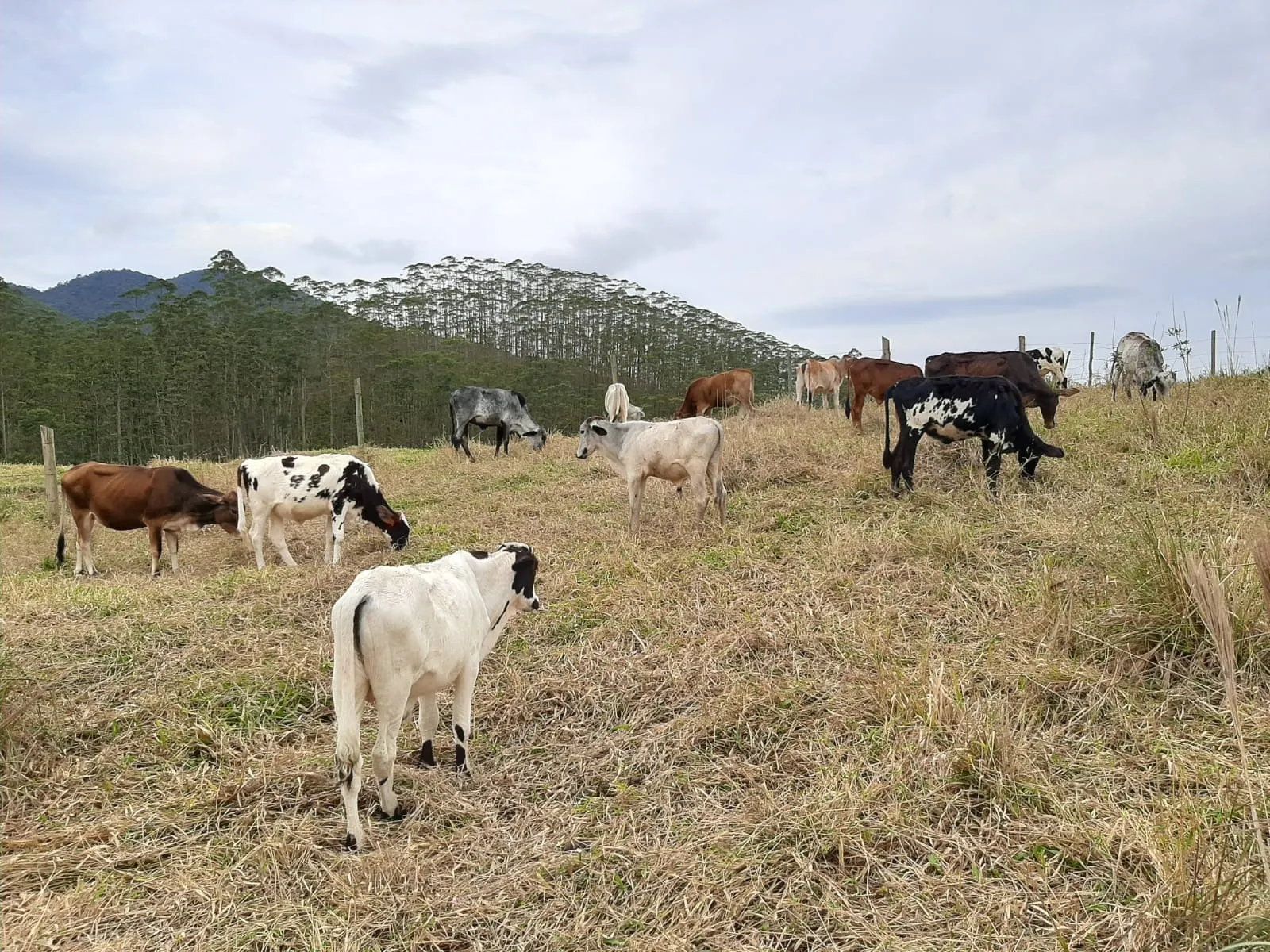 Sítio à venda de 24 ha em São José dos Campos, SP, Brasil