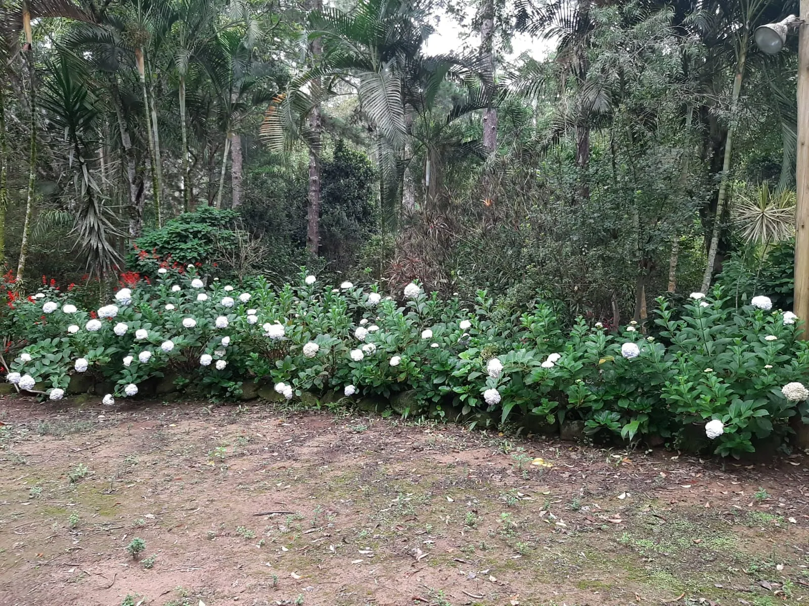 Sítio à venda de 24 ha em São José dos Campos, SP, Brasil