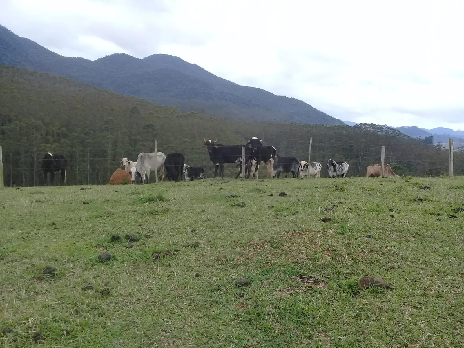 Sítio à venda de 24 ha em São José dos Campos, SP, Brasil
