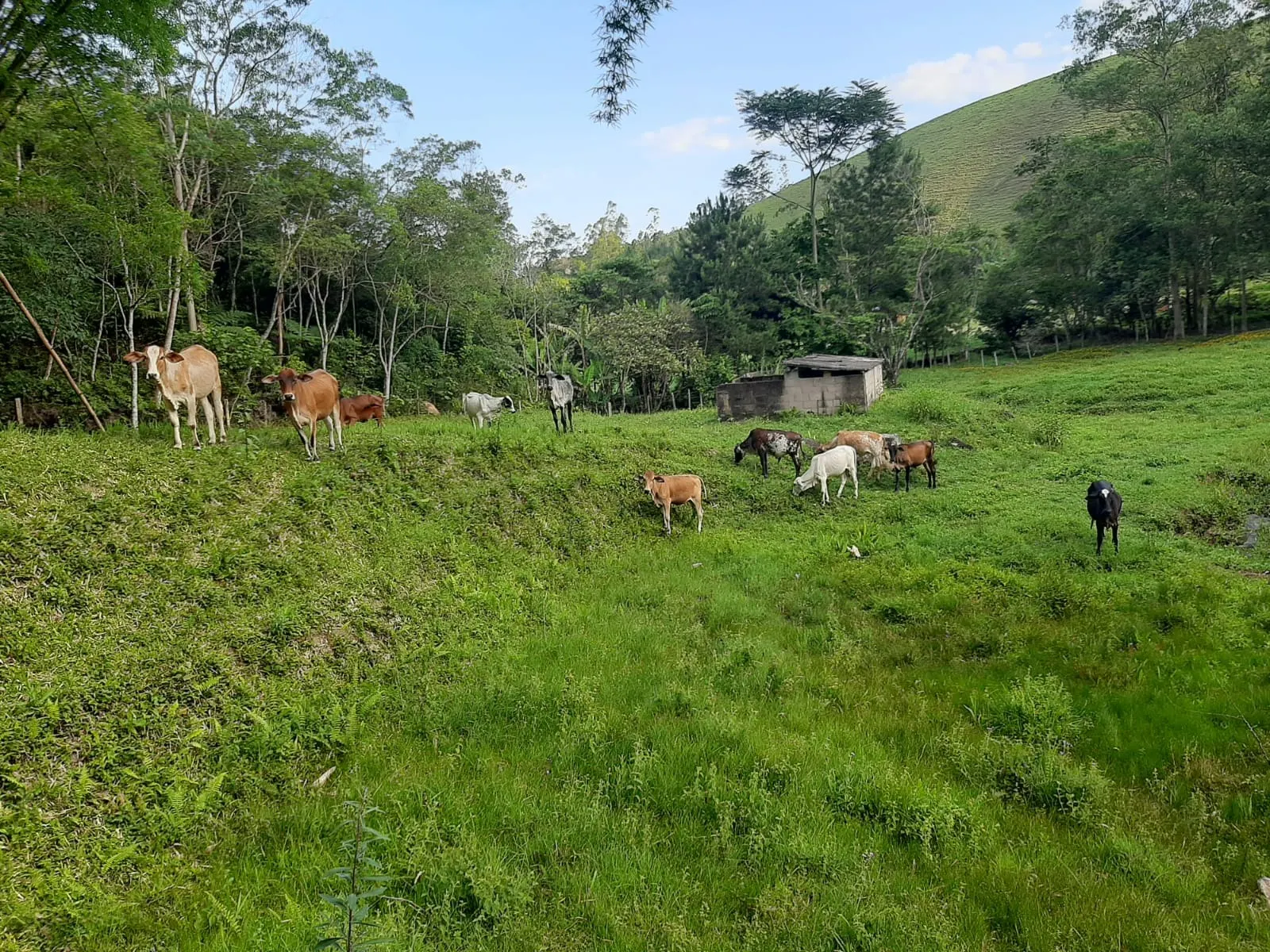 Sítio à venda de 24 ha em São José dos Campos, SP, Brasil