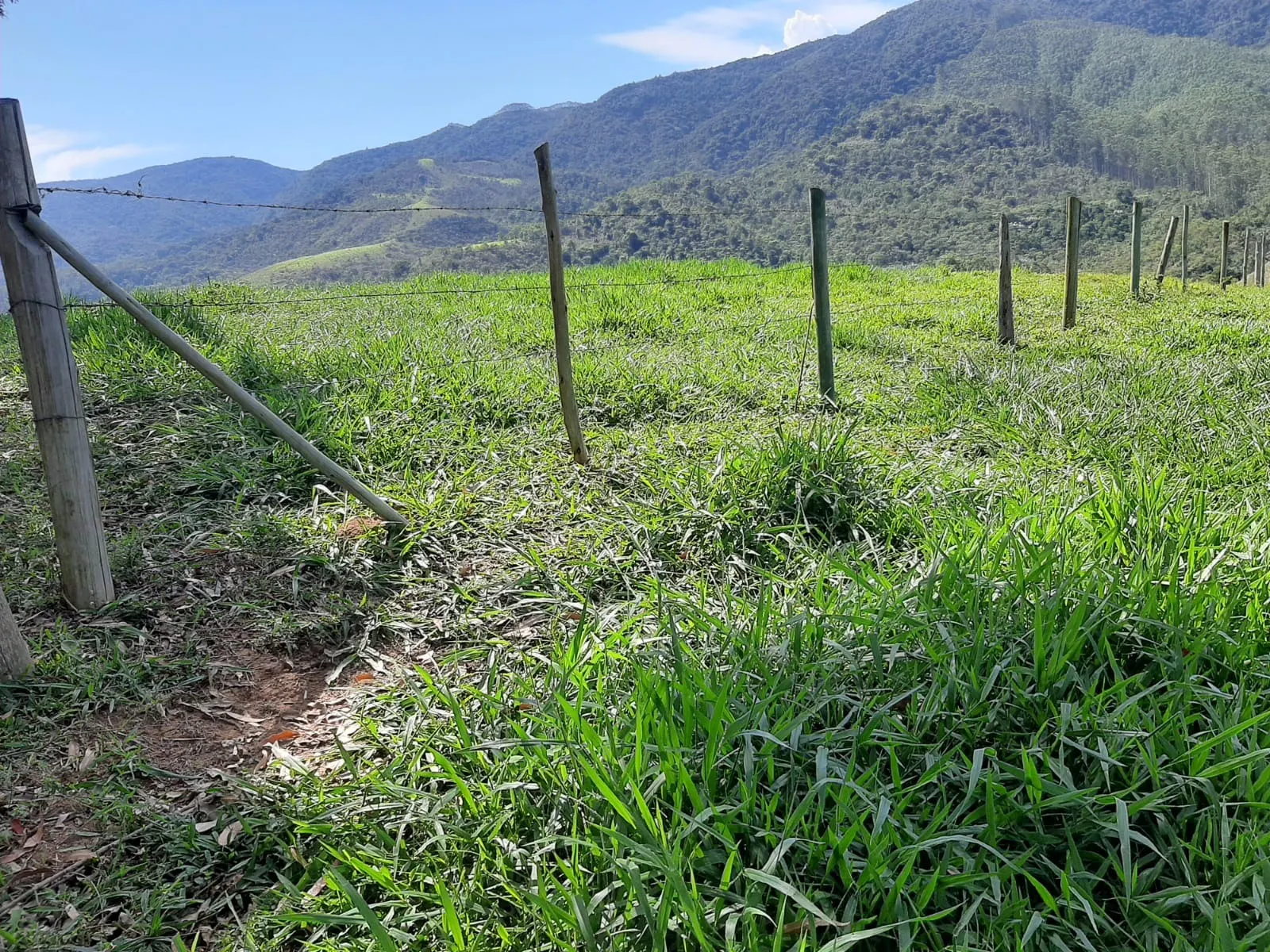 Sítio à venda de 24 ha em São José dos Campos, SP, Brasil