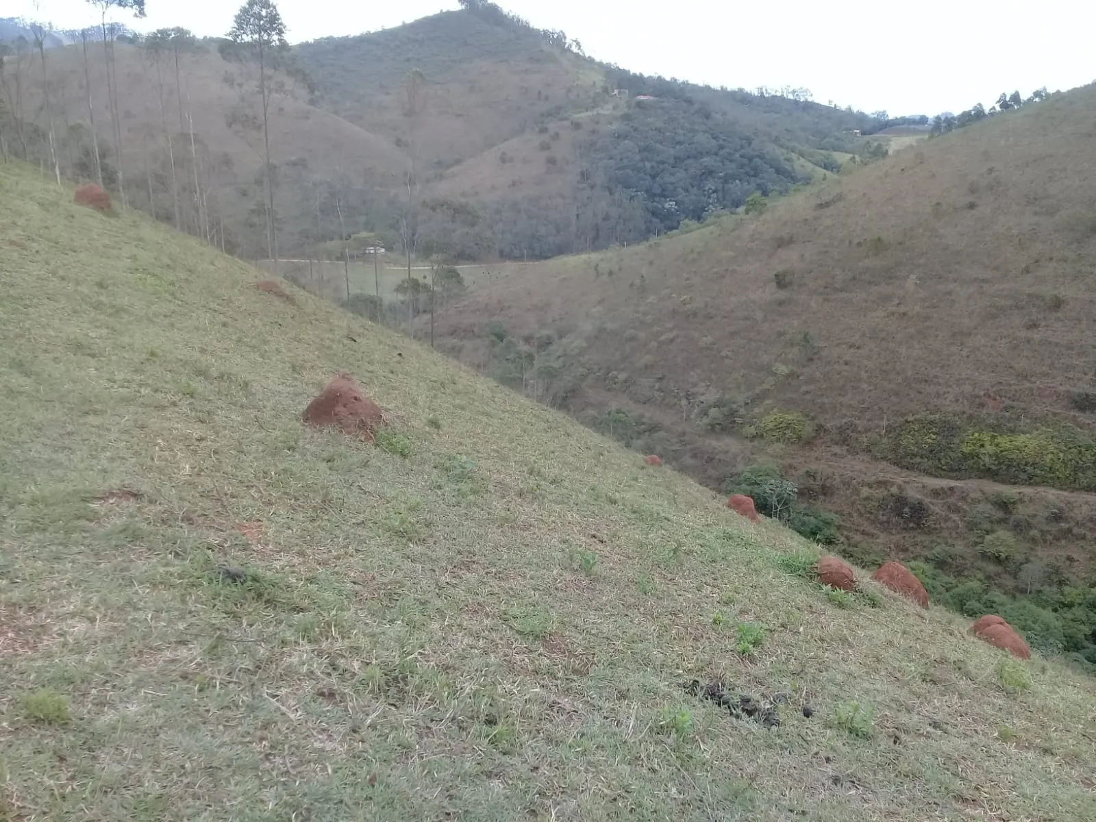 Sítio à venda de 24 ha em São José dos Campos, SP, Brasil