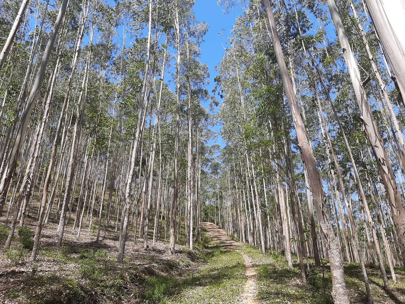 Sítio à venda de 24 ha em São José dos Campos, SP, Brasil
