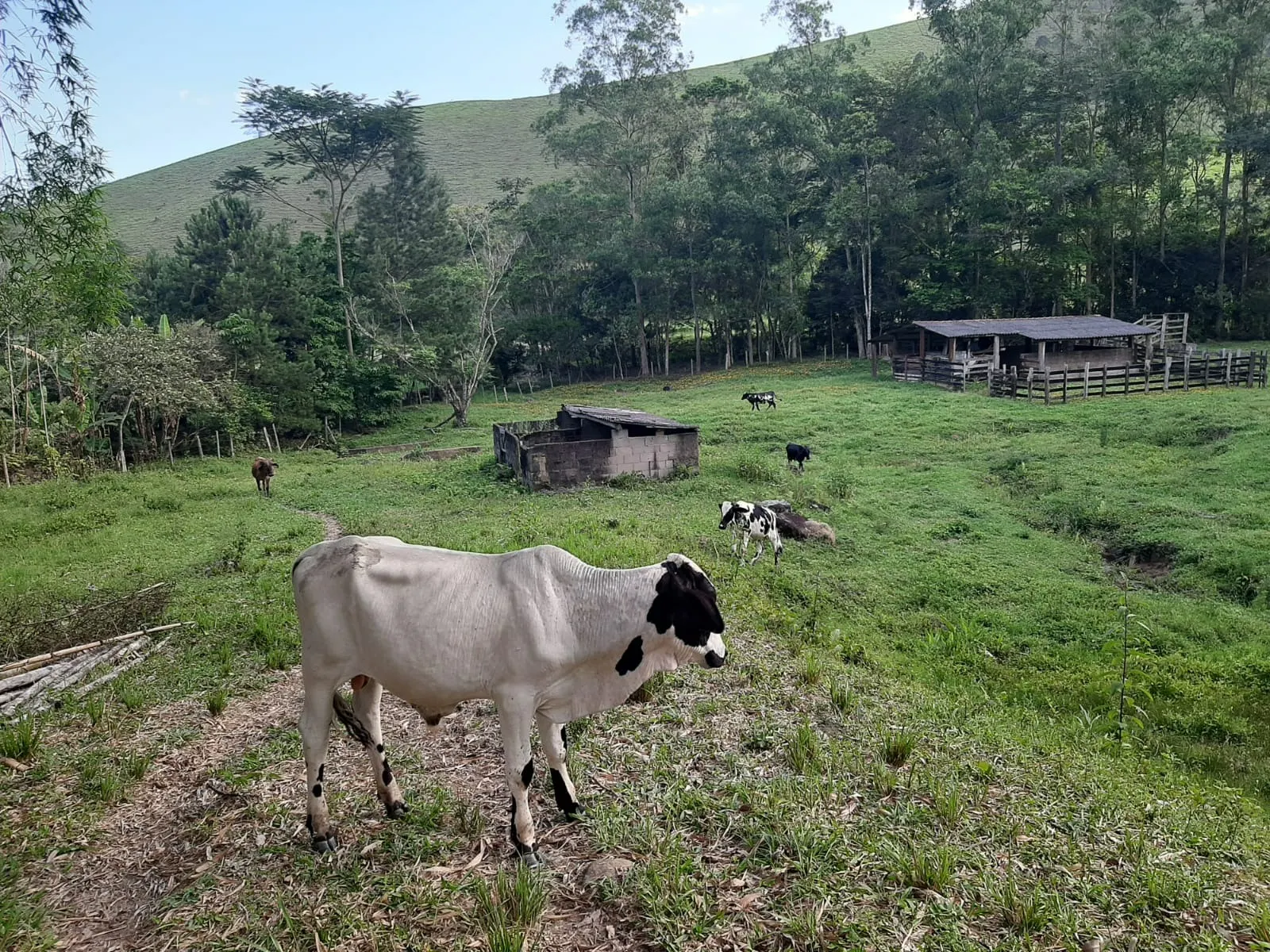 Sítio à venda de 24 ha em São José dos Campos, SP, Brasil