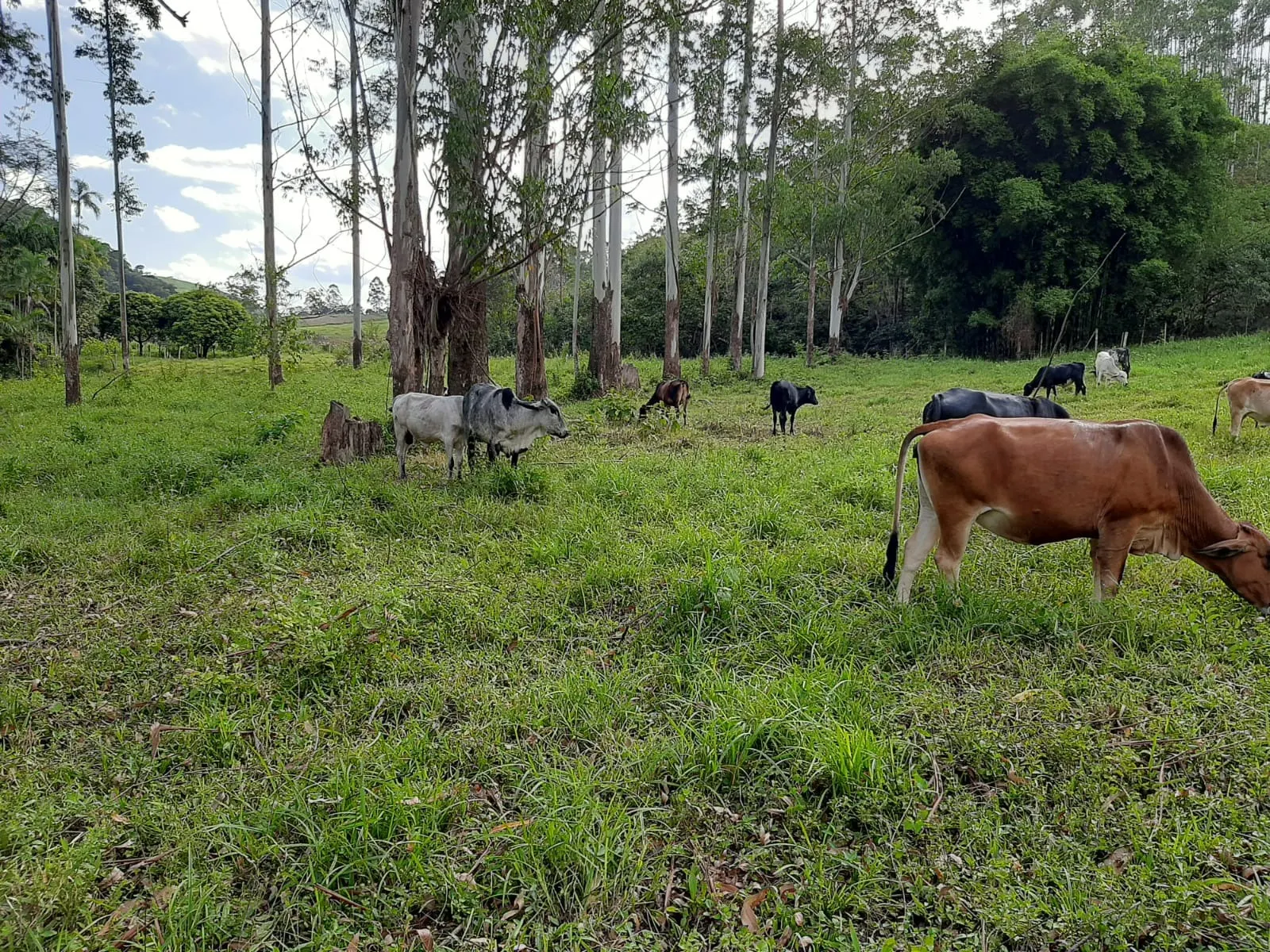 Sítio à venda de 24 ha em São José dos Campos, SP, Brasil