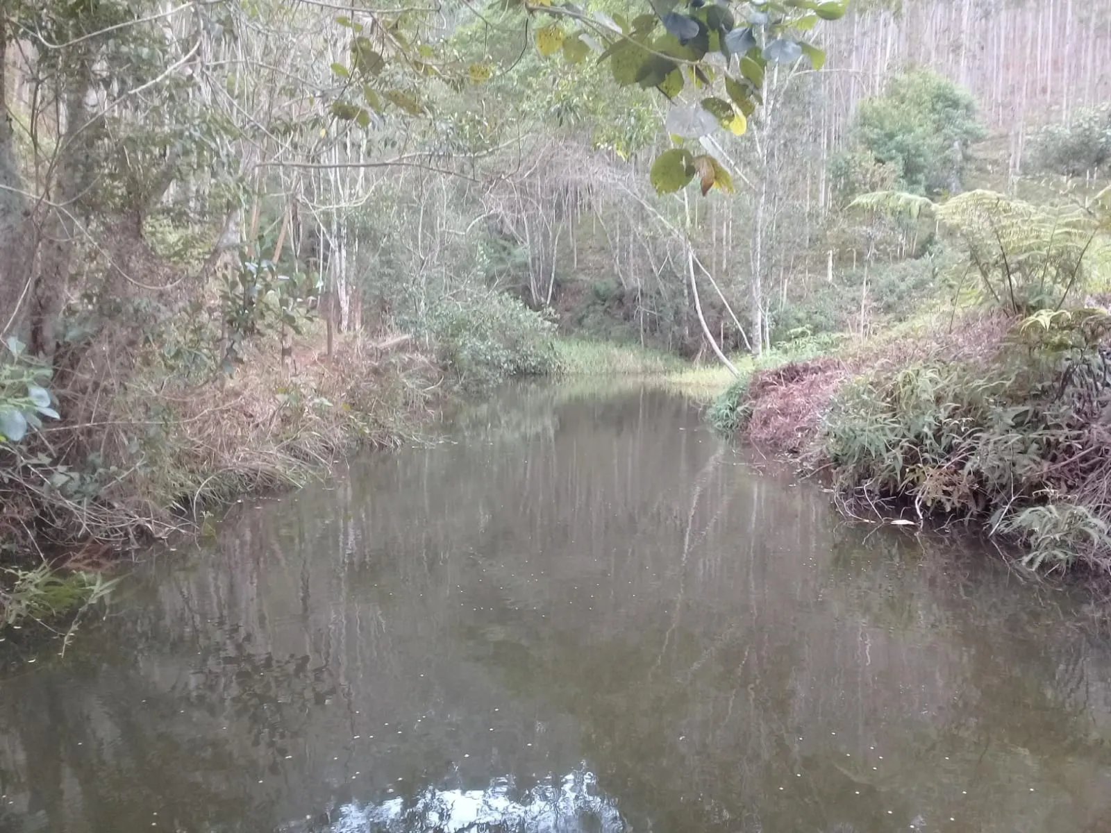 Sítio à venda de 24 ha em São José dos Campos, SP, Brasil