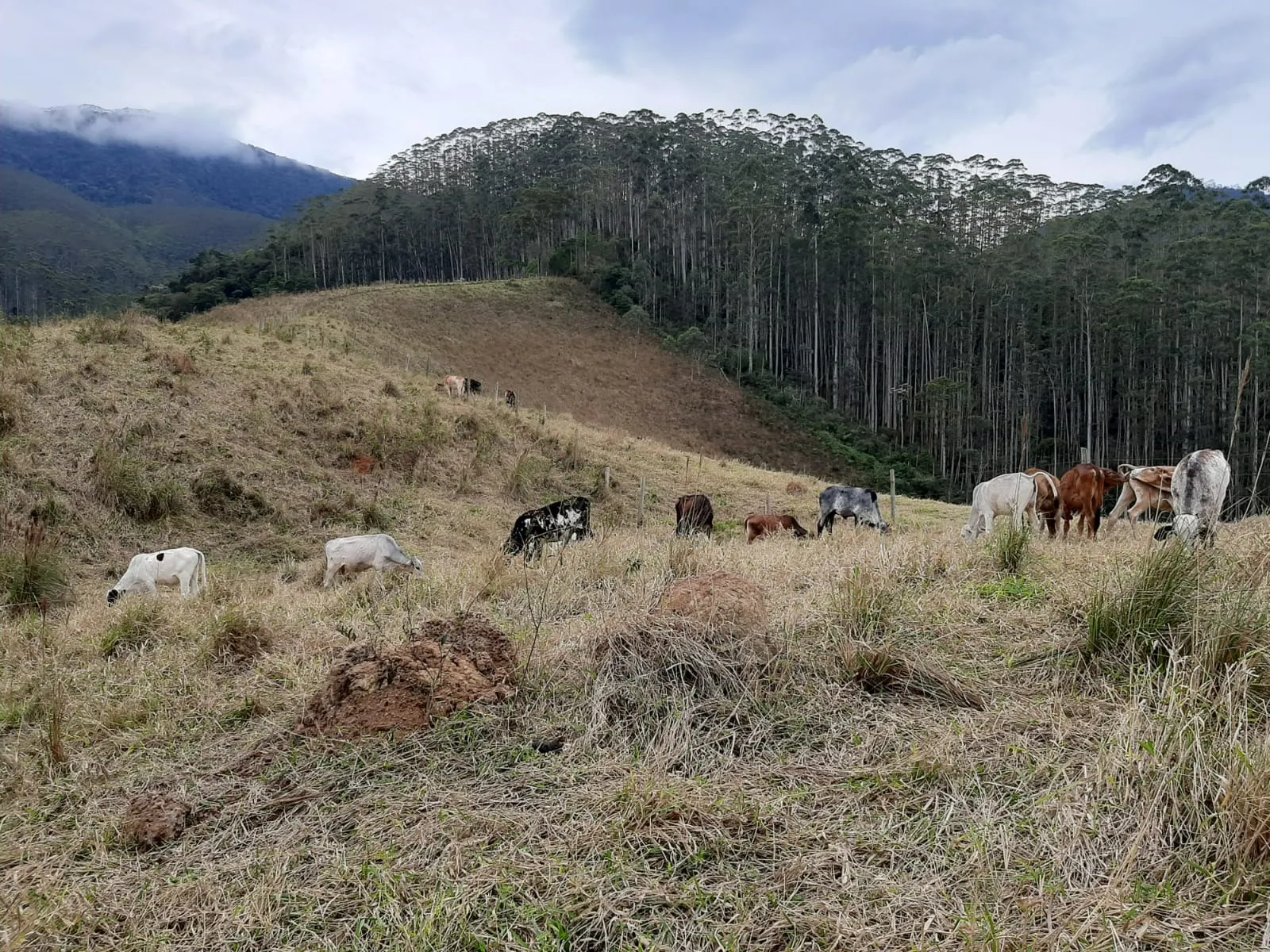 Sítio à venda de 24 ha em São José dos Campos, SP, Brasil