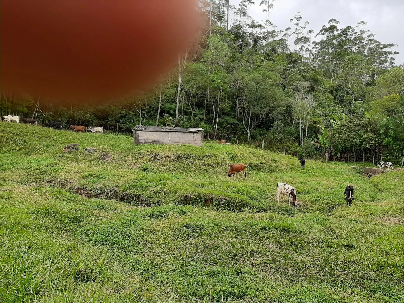 Sítio à venda de 24 ha em São José dos Campos, SP, Brasil
