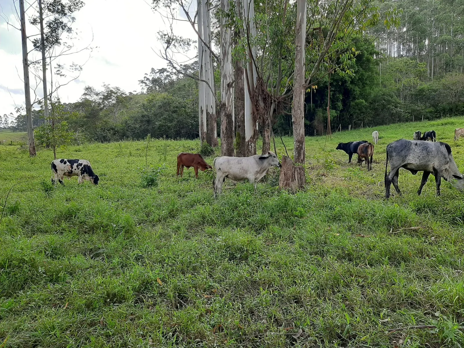 Sítio à venda de 24 ha em São José dos Campos, SP, Brasil
