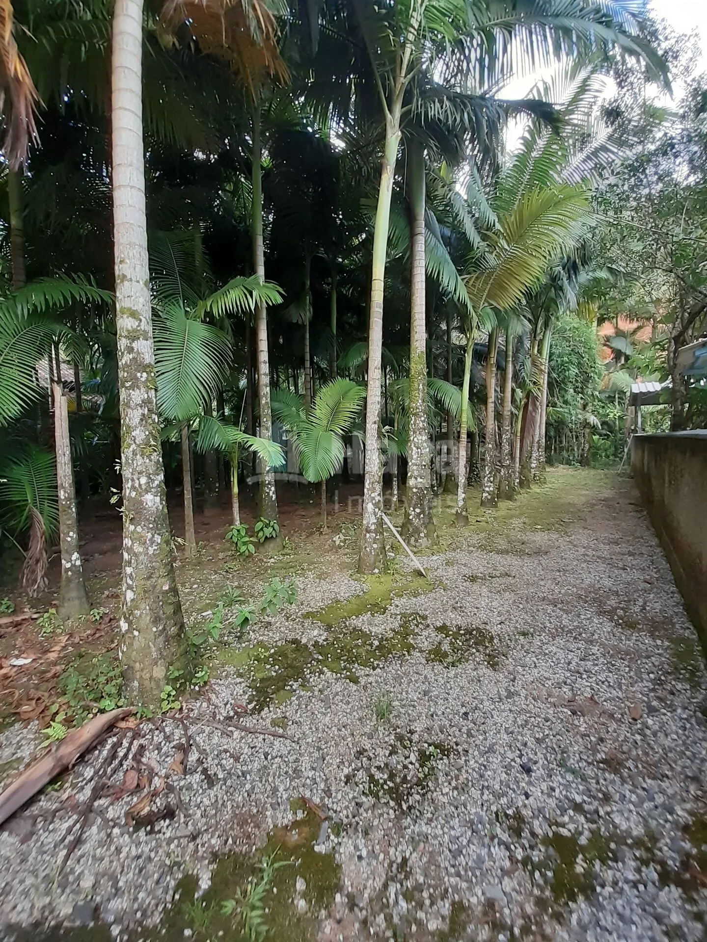 Casa à venda de 2.058 m² em Guabiruba, SC, Brasil
