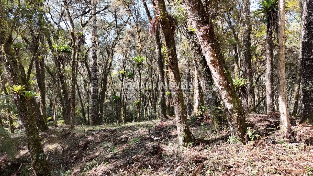 Casa à venda de 2.050 m² em Campos do Jordão, SP, Brasil