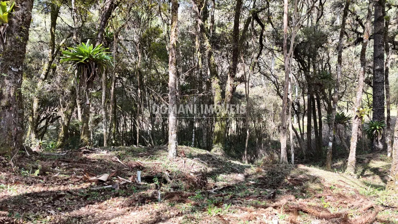 Casa à venda de 2.050 m² em Campos do Jordão, SP, Brasil