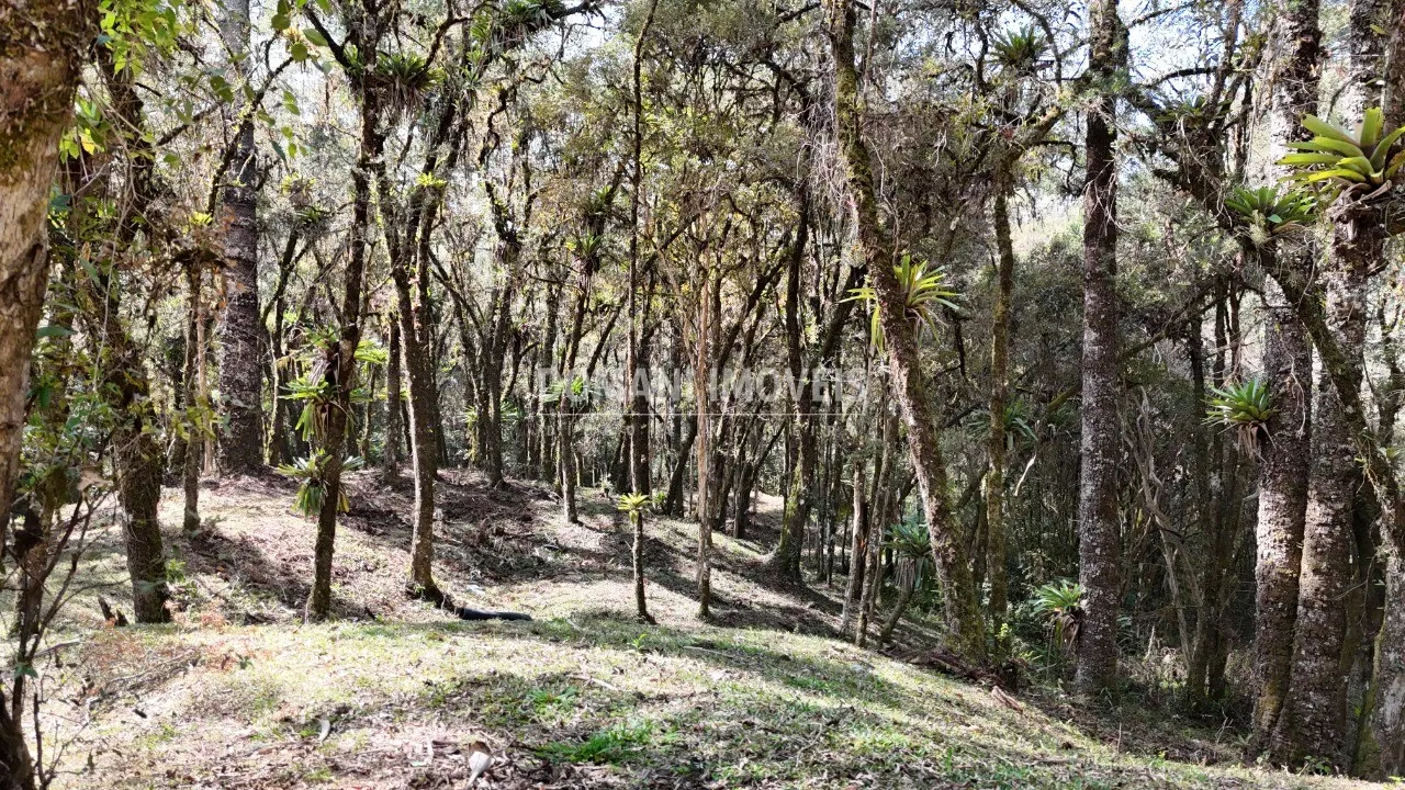 Casa à venda de 2.050 m² em Campos do Jordão, SP, Brasil