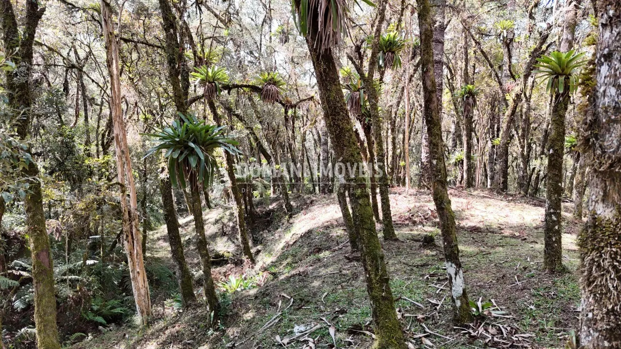 Casa à venda de 2.050 m² em Campos do Jordão, SP, Brasil