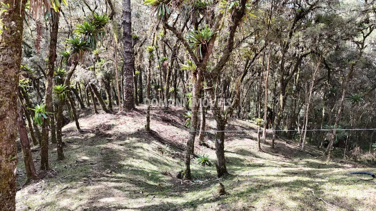 Casa à venda de 2.050 m² em Campos do Jordão, SP, Brasil