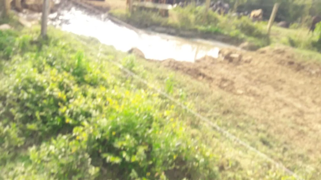 Sítio à venda de 44 ha em São Miguel Arcanjo, SP, Brasil