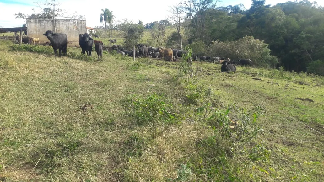 Sítio à venda de 44 ha em São Miguel Arcanjo, SP, Brasil