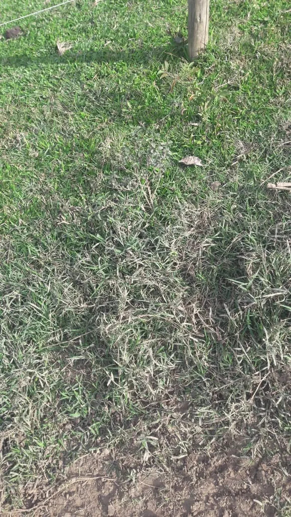 Sítio à venda de 44 ha em São Miguel Arcanjo, SP, Brasil