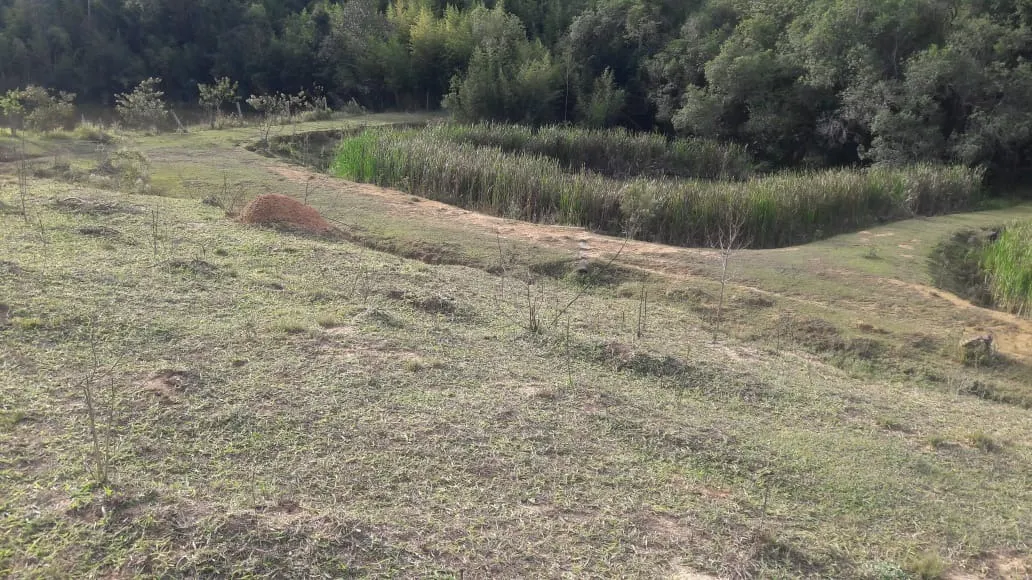 Sítio à venda de 44 ha em São Miguel Arcanjo, SP, Brasil