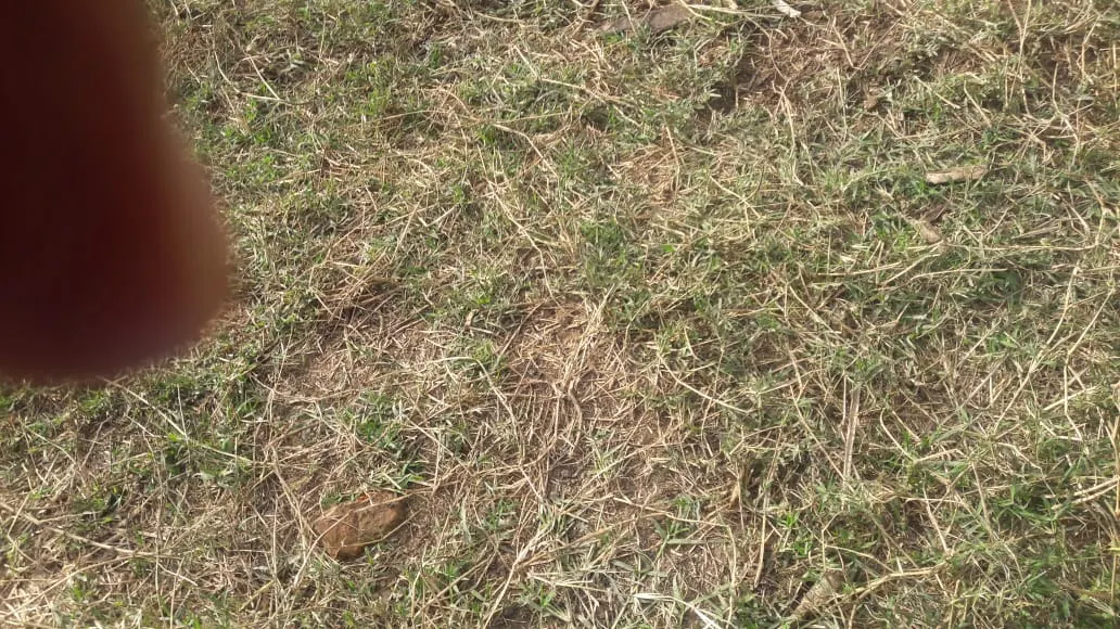 Sítio à venda de 44 ha em São Miguel Arcanjo, SP, Brasil