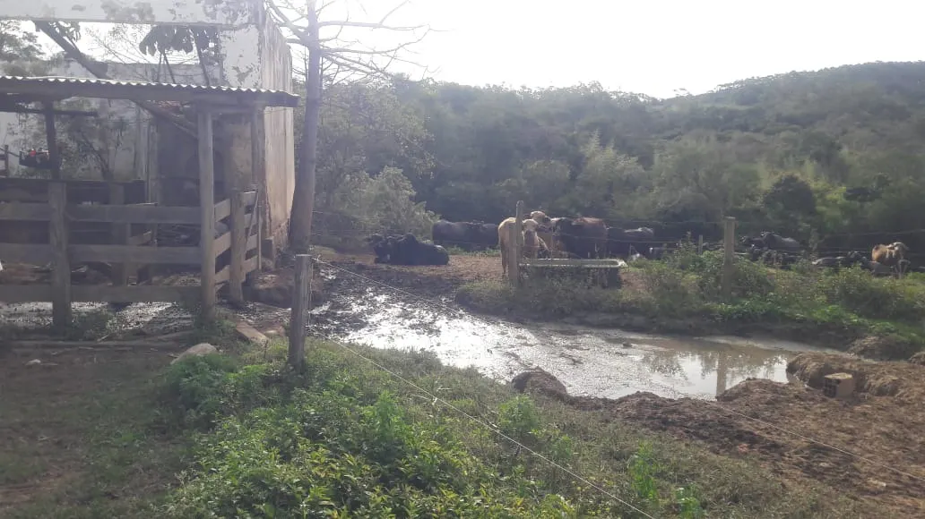 Sítio à venda de 44 ha em São Miguel Arcanjo, SP, Brasil