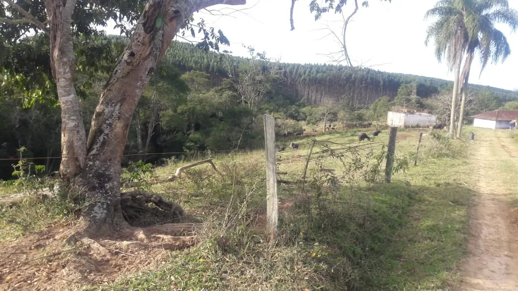 Sítio à venda de 44 ha em São Miguel Arcanjo, SP, Brasil