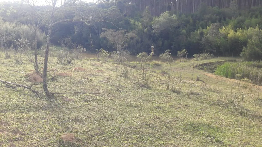 Sítio à venda de 44 ha em São Miguel Arcanjo, SP, Brasil