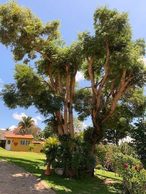 Fazenda à venda de 1.615 ha em Itatiba, SP, Brasil