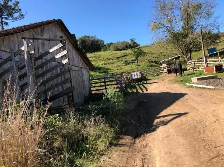 Terreno à venda de 4 ha em Rolante, RS, Brasil