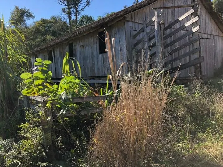 Terreno à venda de 4 ha em Rolante, RS, Brasil