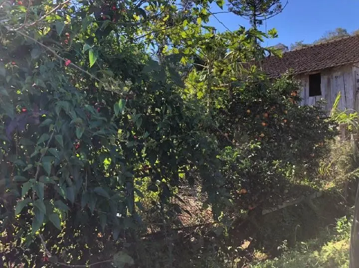 Terreno à venda de 4 ha em Rolante, RS, Brasil