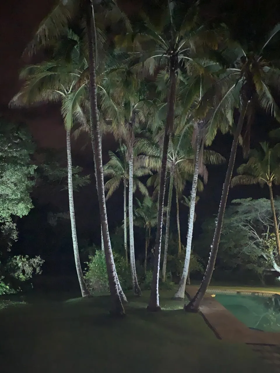 Sítio à venda de 3 ha em Pindamonhangaba, SP, Brasil