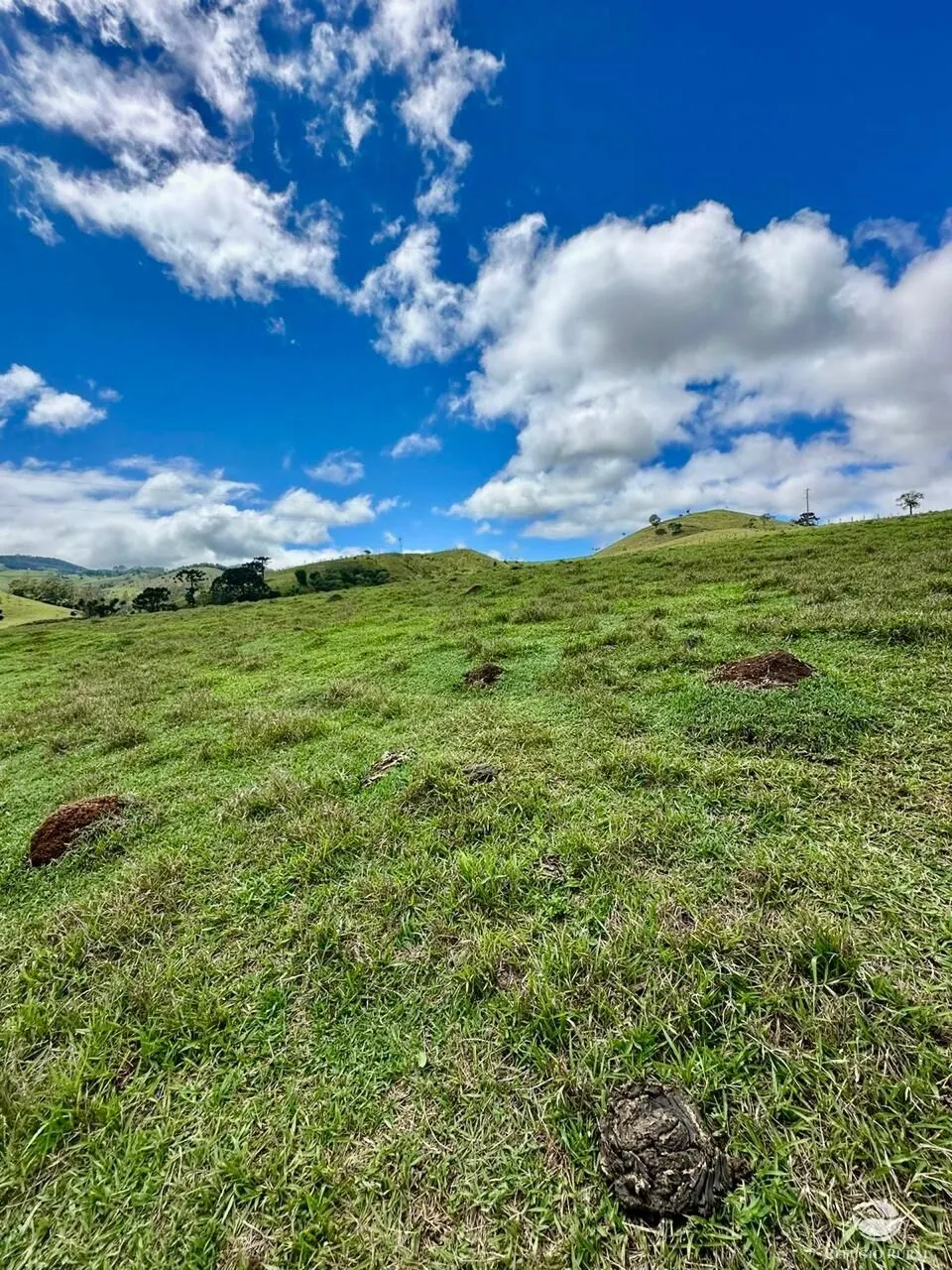 Terreno à venda de 12 ha em Sapucaí-Mirim, MG, Brasil