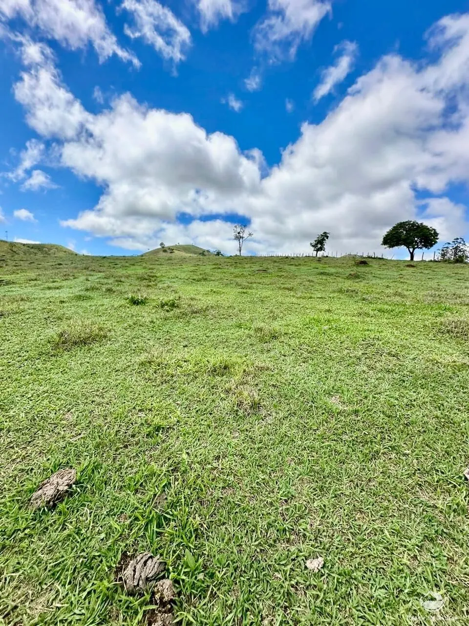 Terreno à venda de 12 ha em Sapucaí-Mirim, MG, Brasil
