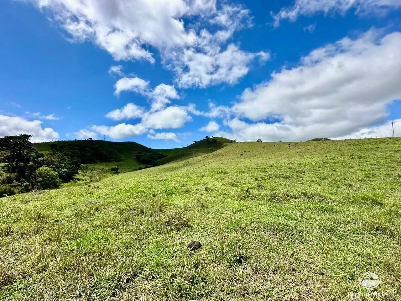 Terreno à venda de 12 ha em Sapucaí-Mirim, MG, Brasil