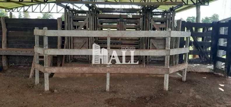 Sítio à venda de 9 ha em Bady Bassitt, SP, Brasil