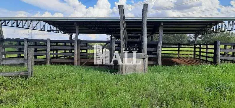 Sítio à venda de 9 ha em Bady Bassitt, SP, Brasil
