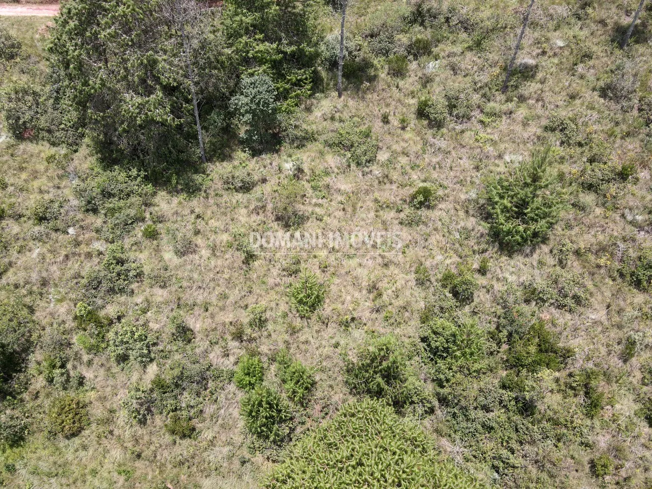Terreno à venda de 1.050 m² em Campos do Jordão, SP, Brasil
