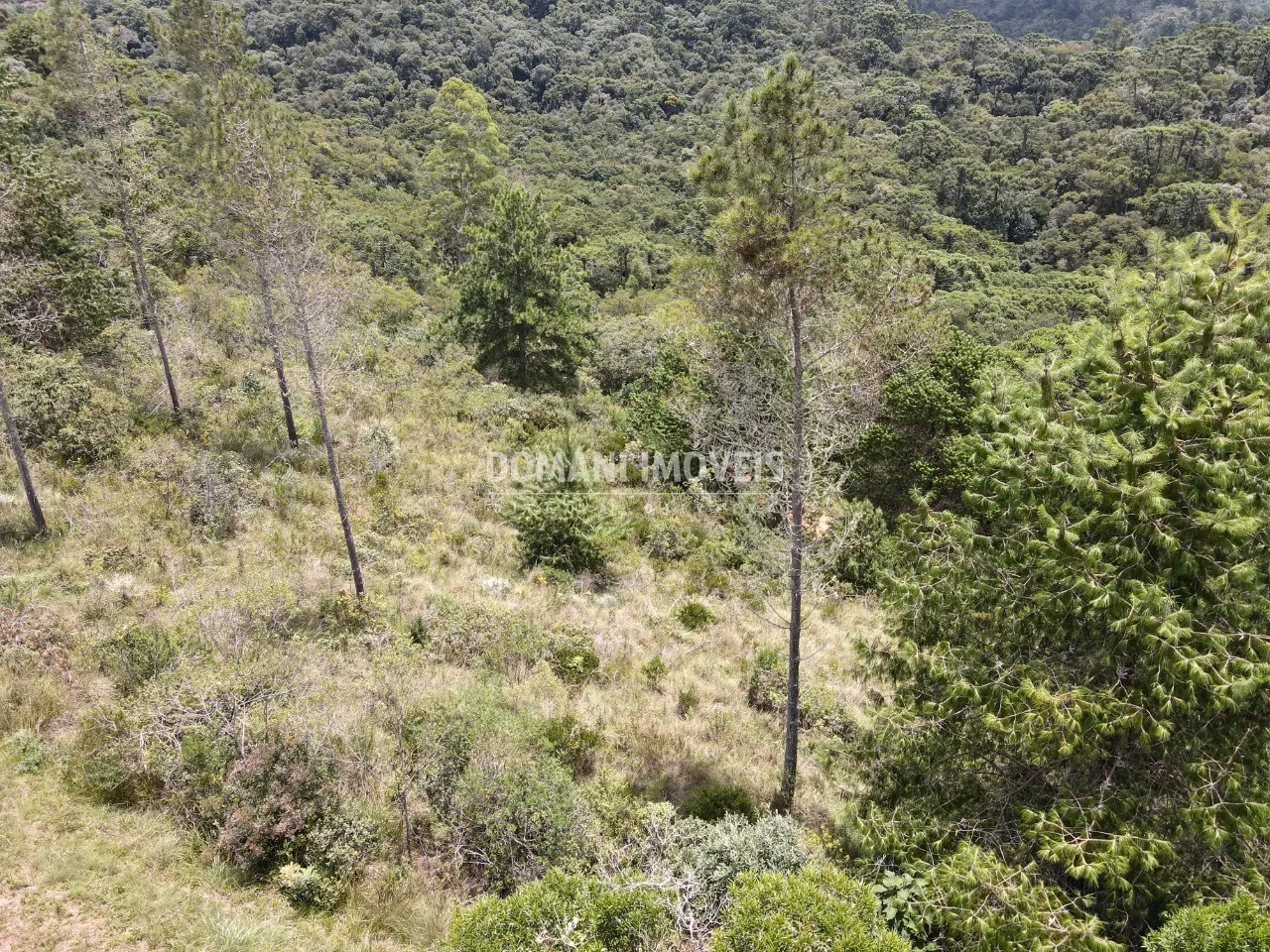 Terreno à venda de 1.050 m² em Campos do Jordão, SP, Brasil