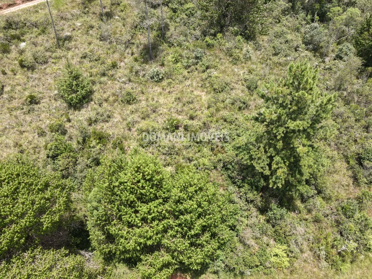 Terreno à venda de 1.050 m² em Campos do Jordão, SP, Brasil