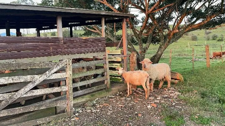 Country home for sale of 12 acres in Santo Antônio da Patrulha, RS, Brazil