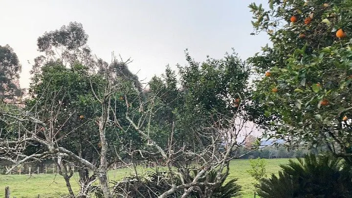 Country home for sale of 12 acres in Santo Antônio da Patrulha, RS, Brazil