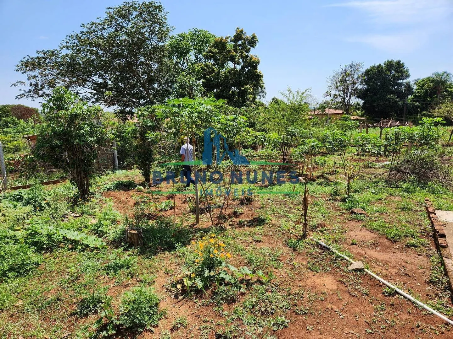 Chácara à venda de 1.000 m² em Artur Nogueira, SP, Brasil