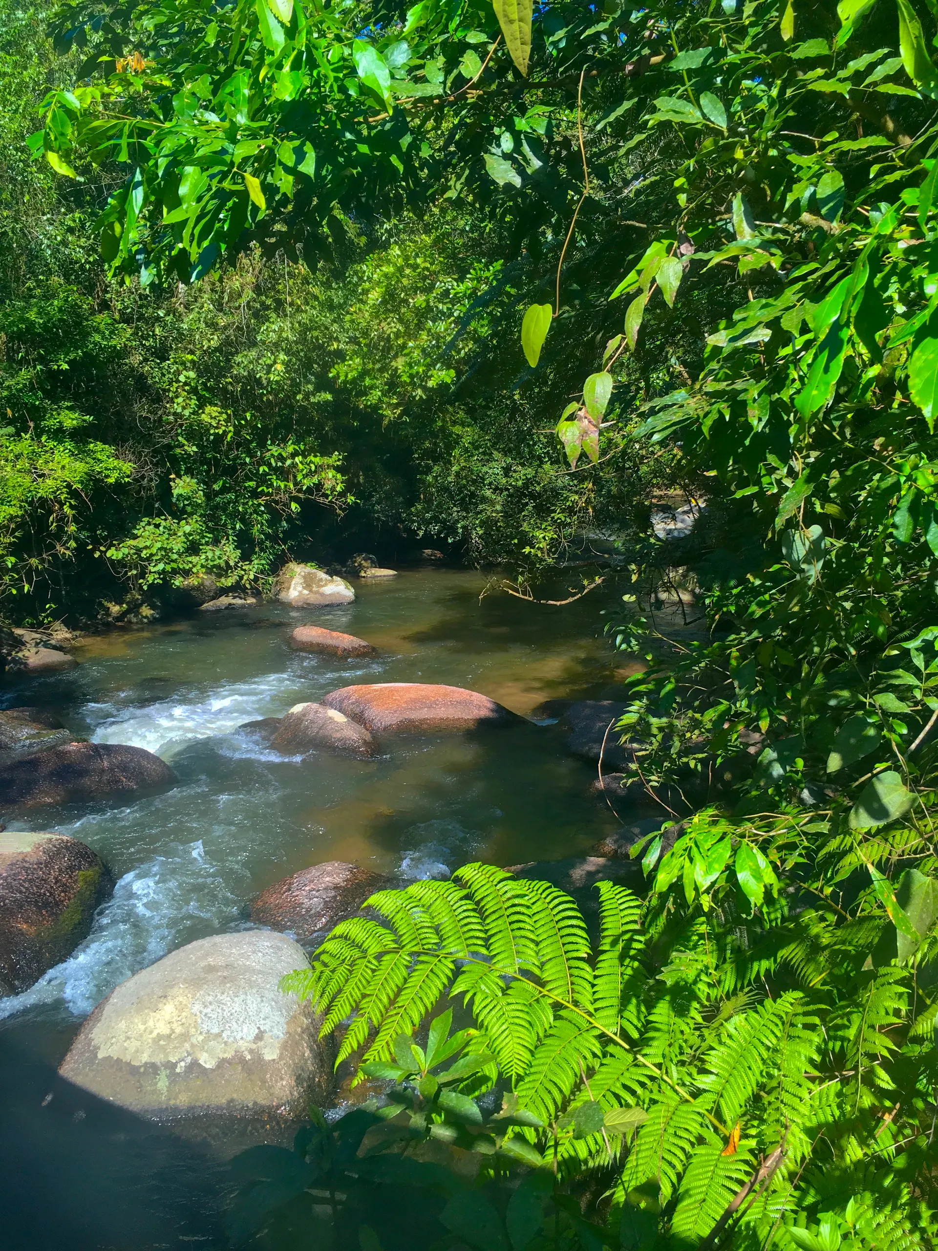 Sítio à venda de 44 ha em Tapiraí, SP, Brasil
