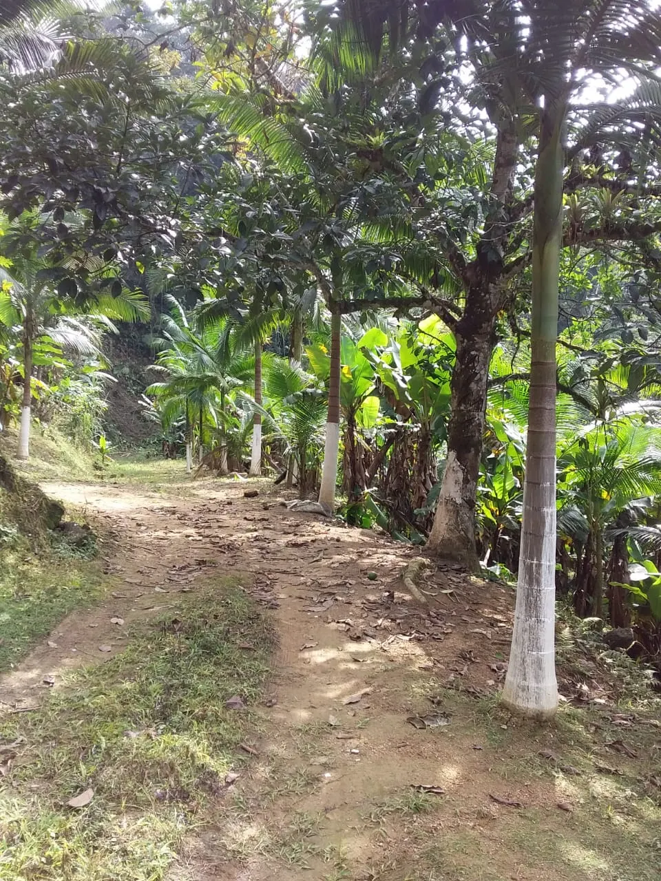 Sítio à venda de 44 ha em Tapiraí, SP, Brasil