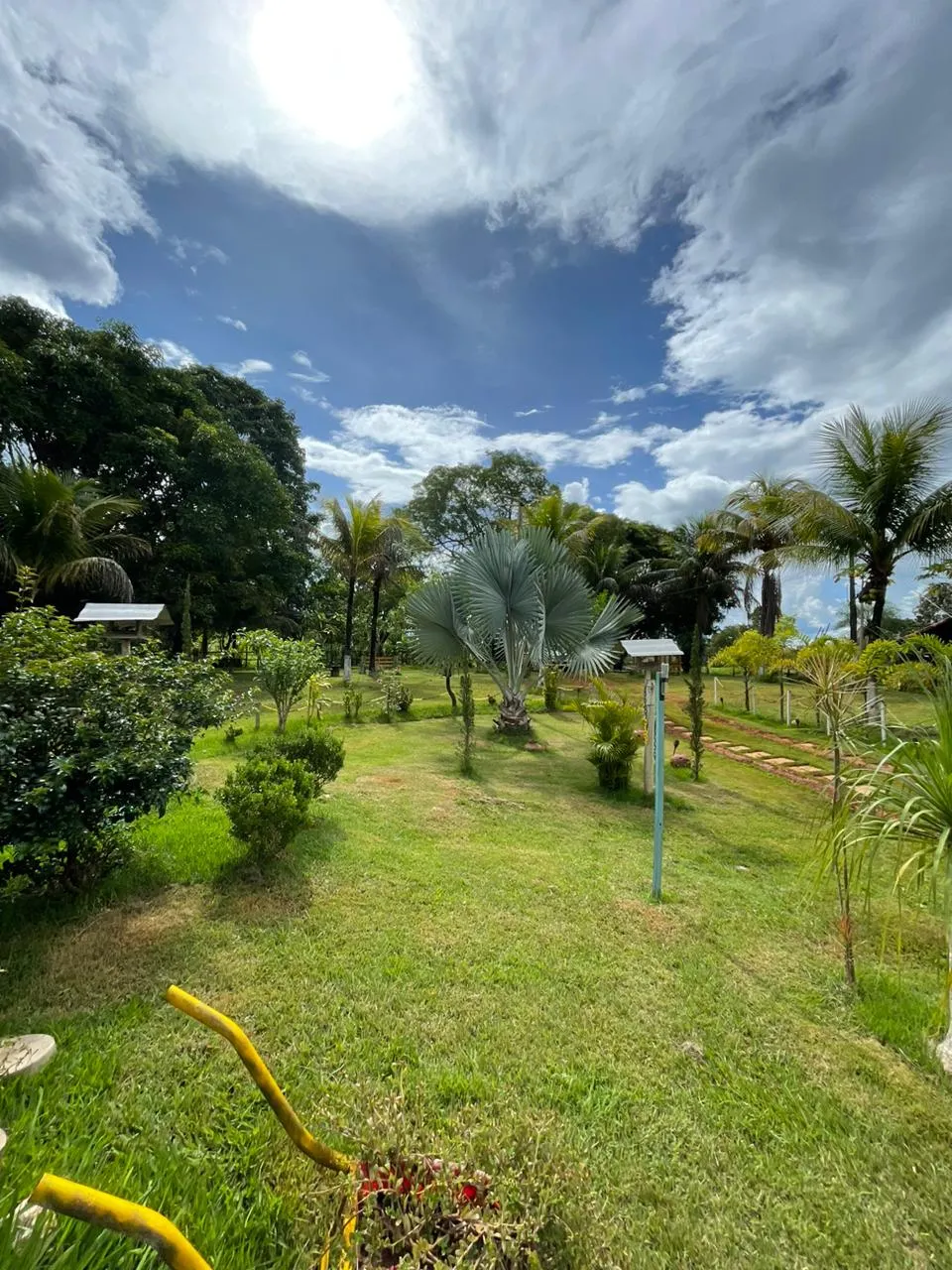 Sítio à venda de 13 ha em Formosa, GO, Brasil