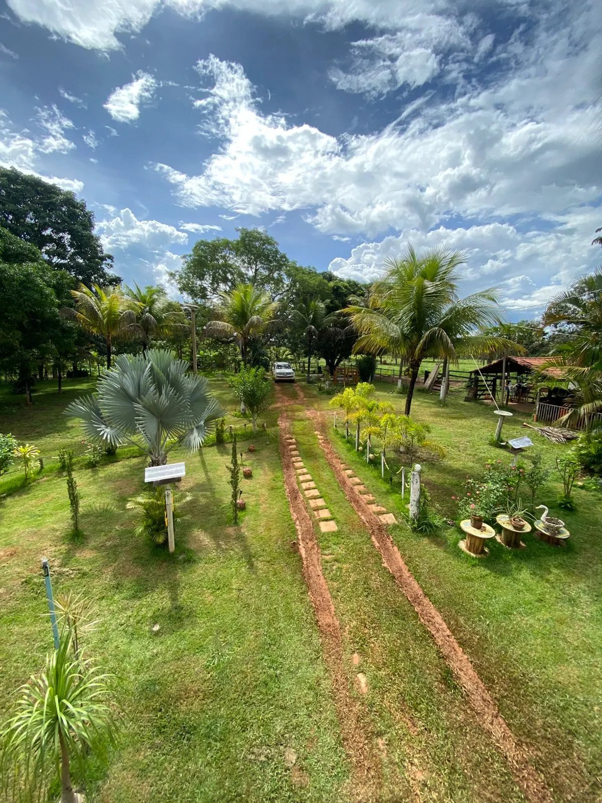 Sítio à venda de 13 ha em Formosa, GO, Brasil