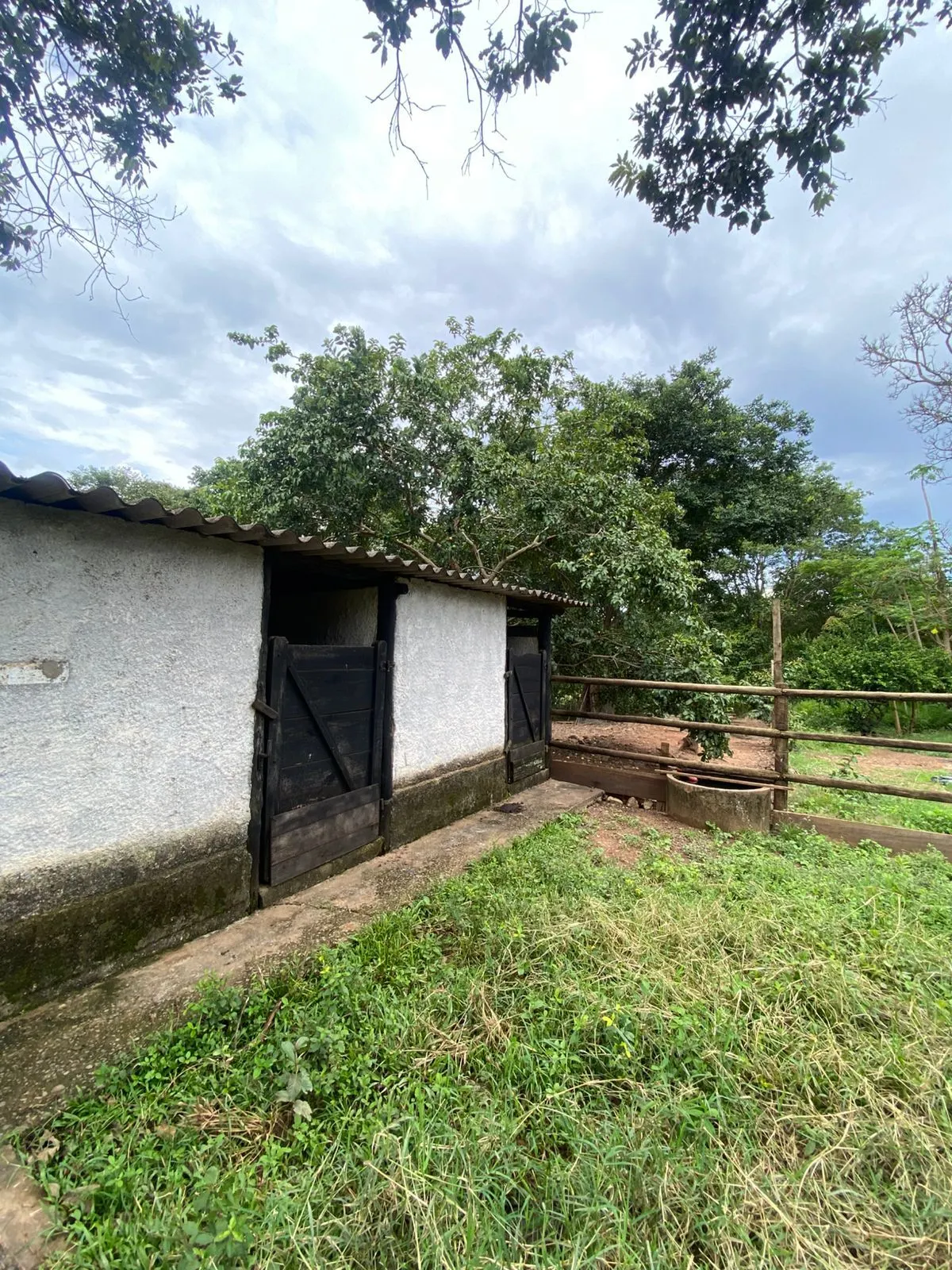 Sítio à venda de 13 ha em Formosa, GO, Brasil