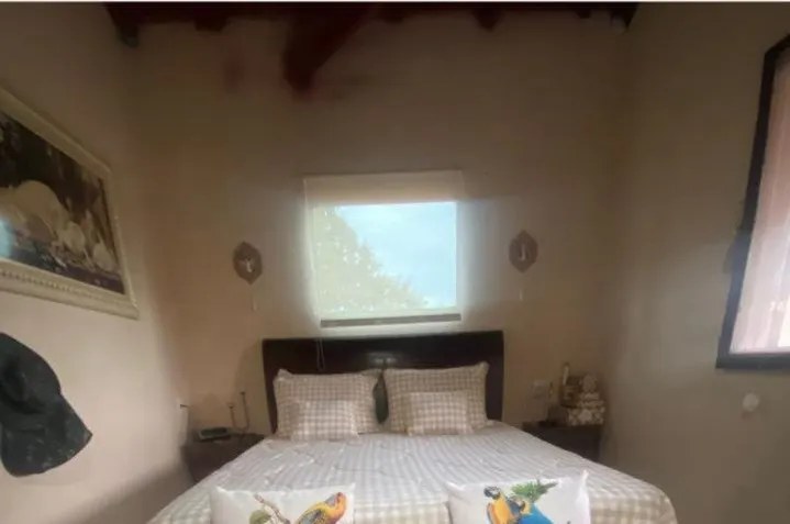 Sítio à venda de 13 ha em Formosa, GO, Brasil