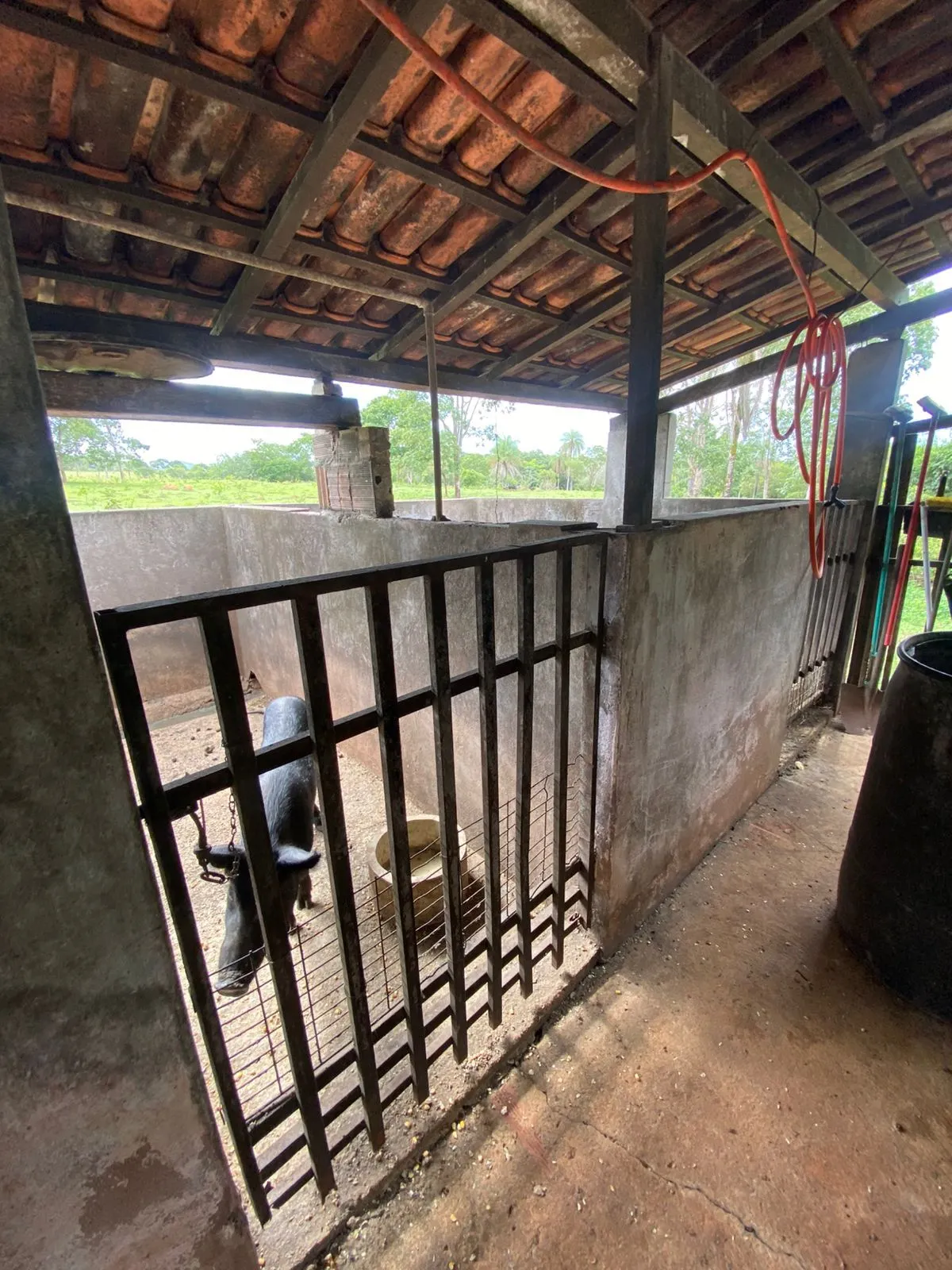 Sítio à venda de 13 ha em Formosa, GO, Brasil
